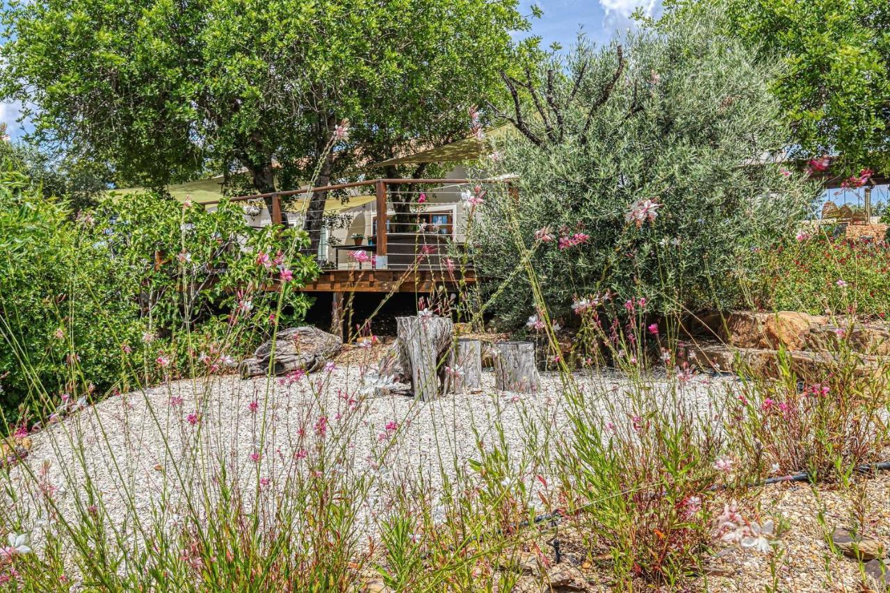 Figs On The Funcho Self Catering - A River Side Location Pedreiras  Εξωτερικό φωτογραφία